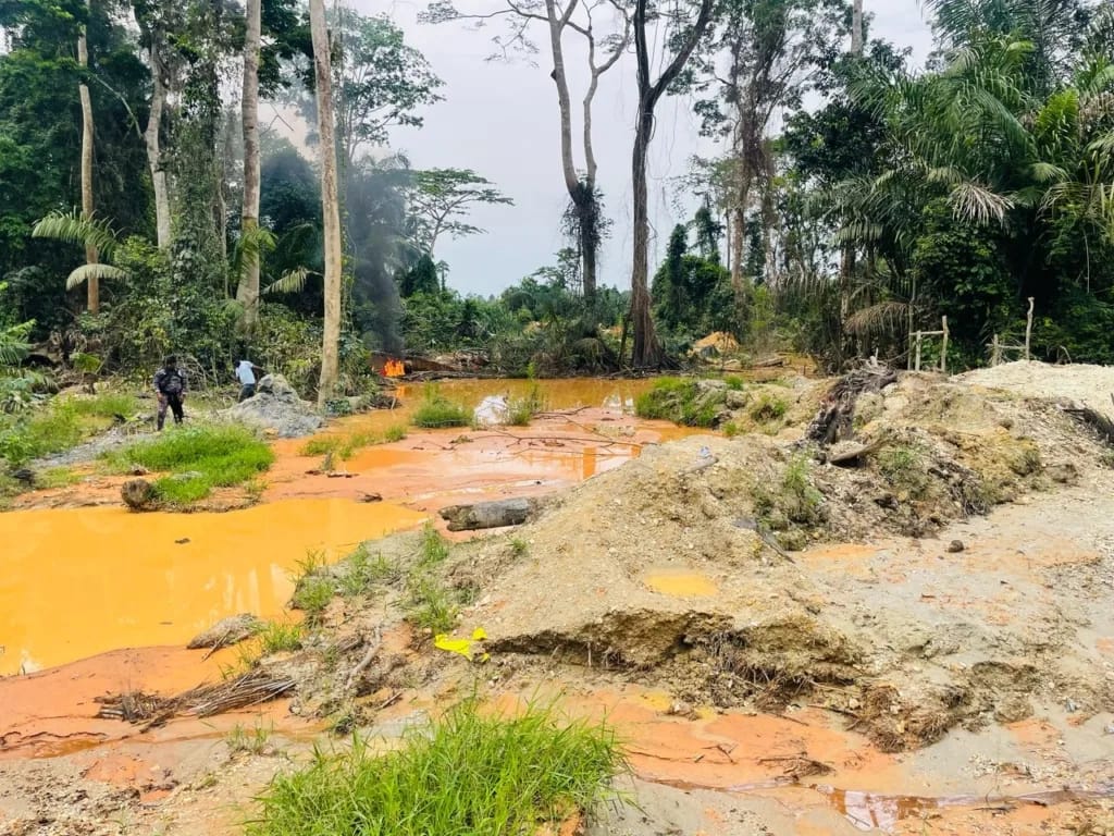 10 more arrested for galamsey in Tano Nimiri forest