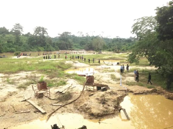 Civil society groups demand new leadership for mining sector to tackle galamsey effectively